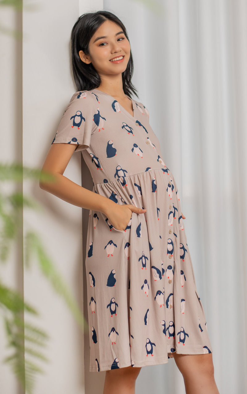 Little Penguin Nursing Dress