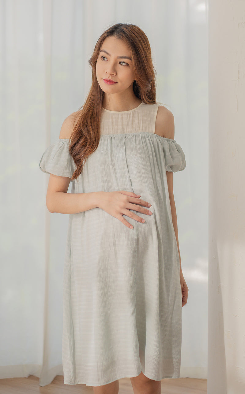 Elora Off Shoulder Nursing Dress in Blue