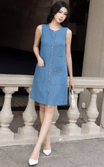 Esme Denim Nursing Dress
