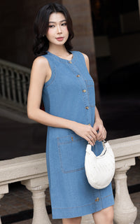Esme Denim Nursing Dress