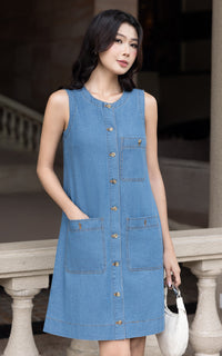 Esme Denim Nursing Dress