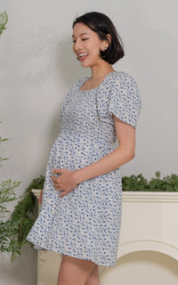 Evangeline Eyelet Nursing Dress