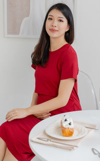 Quinn Nursing Dress in Red