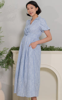 Kailani Nursing Dress in Blue