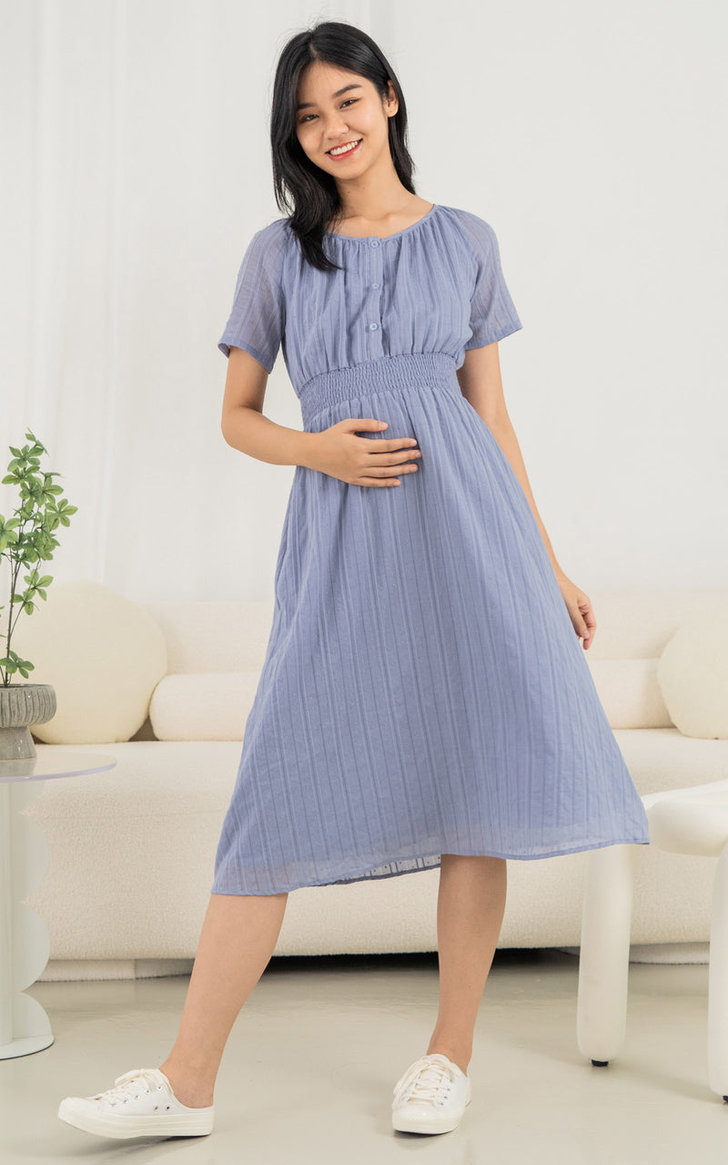 Valentina Nursing Dress in Blue