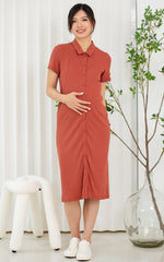 Lianna Ribb Nursing Dress in Earthy Red