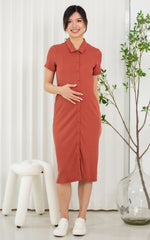 Lianna Ribb Nursing Dress in Earthy Red