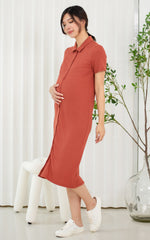 Lianna Ribb Nursing Dress in Earthy Red