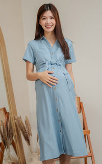 Nicole Denim Nursing Dress