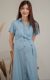 Nicole Denim Nursing Dress