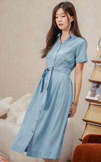 Nicole Denim Nursing Dress