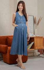 Regina Denim Nursing Dress in Blue