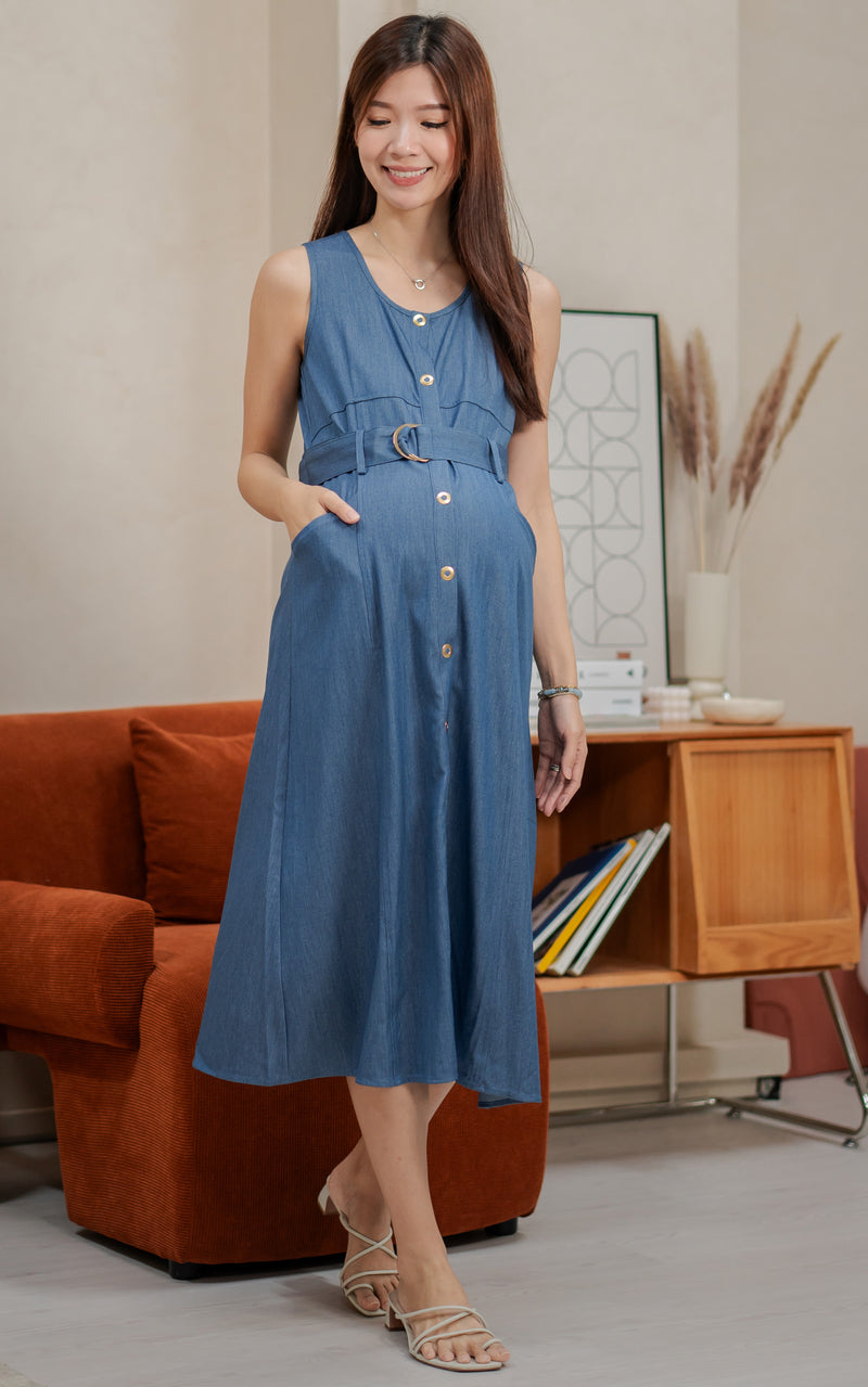 Regina Denim Nursing Dress in Blue