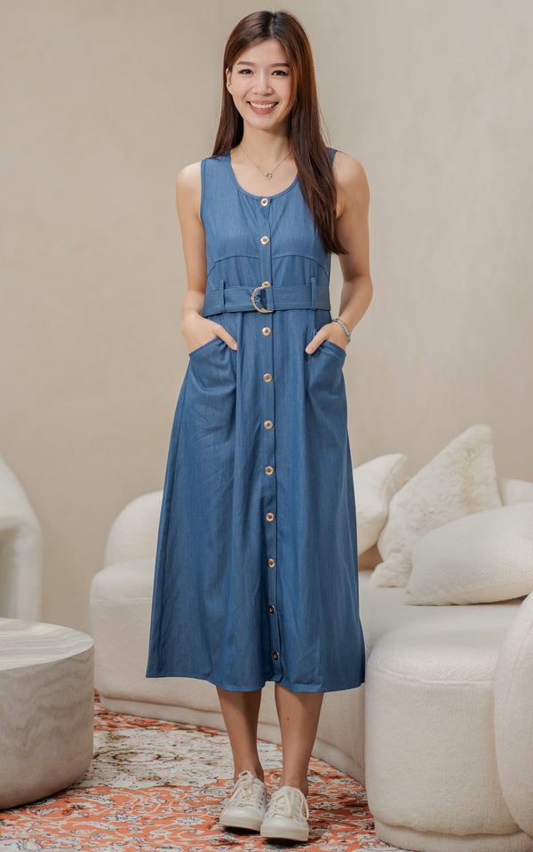 Regina Denim Nursing Dress in Blue