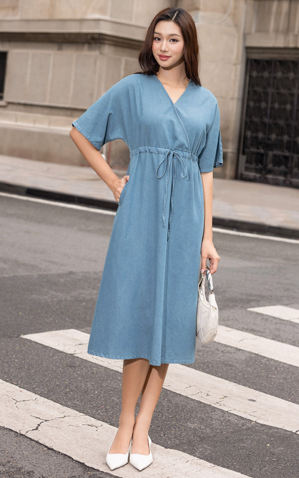 Sylvie Denim Cotton Dress
