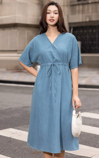 Sylvie Denim Cotton Dress