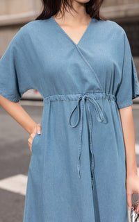 Sylvie Denim Cotton Dress