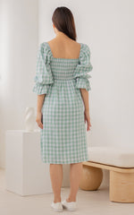 Isabella Checkered Nursing Dress in Green