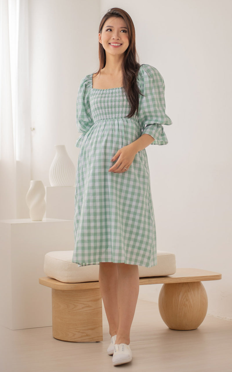 Isabella Checkered Nursing Dress in Green