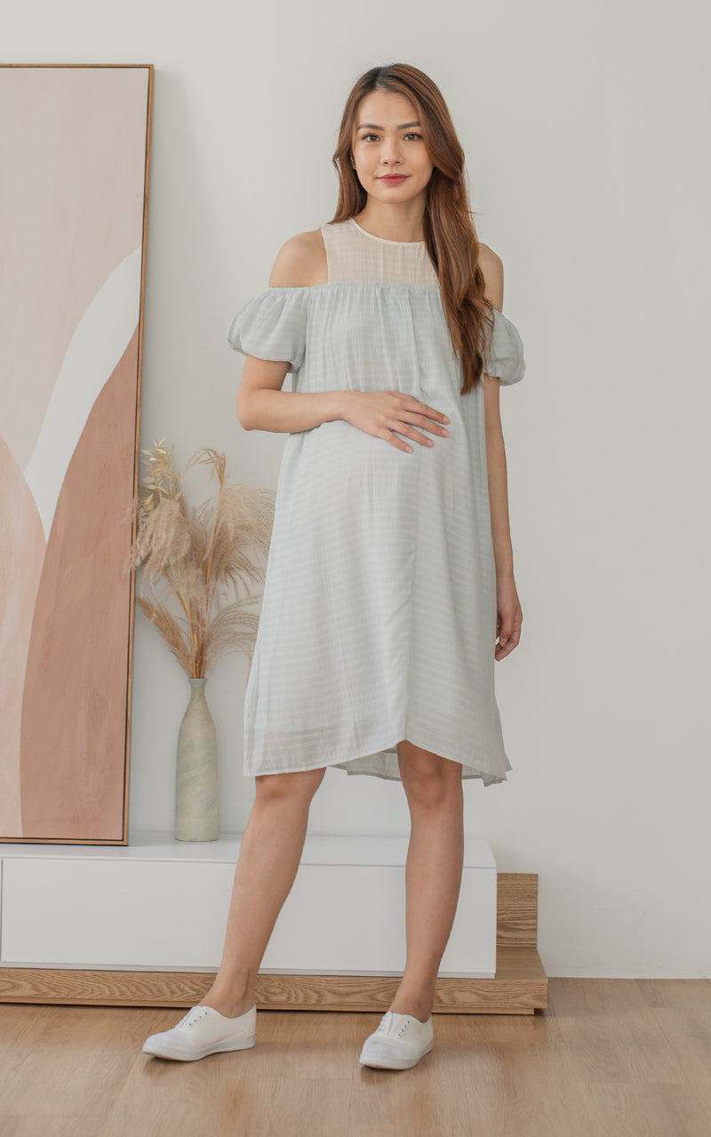 Elora Off Shoulder Nursing Dress in Blue